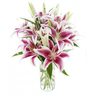 10 Stem pink Lily's bouquet